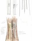 Incense Concept Drawings